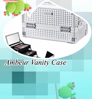 Silver makeup case